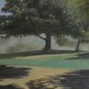 "Changing Shadows" - 9" x 12" - Oil on Canvas, Bequest S. Katen